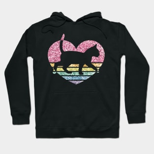 Rainbow Confetti Heart Cat Hoodie